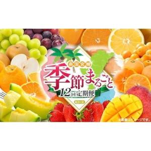 ふるさと納税 果物の詰合せ 宮崎県 - 12回定期便 旬 人気 フルーツ 南国宮崎産 太陽のタマゴ たまたまエクセレント シャインマスカット ピオーネ いちご みか…