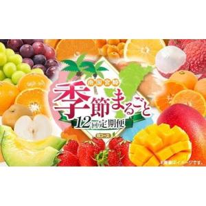 ふるさと納税 果物の詰合せ 宮崎県 - 12回定期便 旬 人気 フルーツ 南国宮崎産 マンゴー ライチ 金柑たまたま シャインマスカット ピオーネ いちご みかん 日…