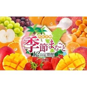 ふるさと納税 果物の詰合せ 宮崎県 - 12回定期便 旬 人気 フルーツ 南国宮崎産 マンゴー ライチ 金柑たまたまエクセレント シャインマスカット ピオーネ いち…