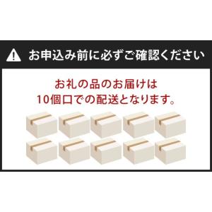 ふるさと納税 防災グッズ 福岡県 北九州市 1...の詳細画像2