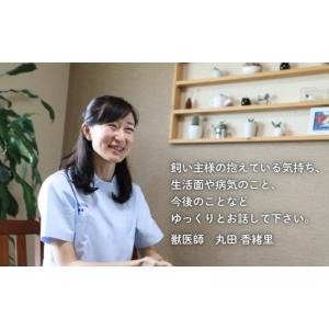 ふるさと納税 生き物 神奈川県 藤沢市 ペット...の詳細画像2
