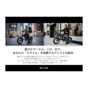 ふるさと納税 自転車 電動アシスト自転車 愛知...の詳細画像2