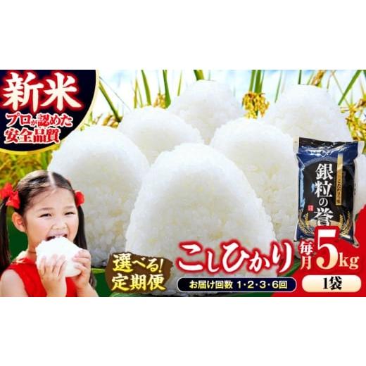 ふるさと納税 米 コシヒカリ 広島県 三次市  令和7年産米 米 こしひかり 5kg 白米 お米 ご...