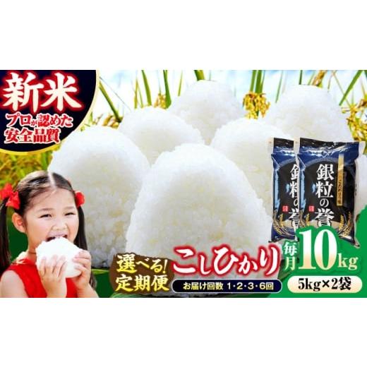 ふるさと納税 米 コシヒカリ 広島県 三次市  令和7年産米 米 こしひかり 10kg 白米 お米 ...