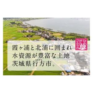 ふるさと納税 米 コシヒカリ 茨城県 行方市 ...の詳細画像5