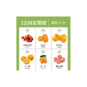 ふるさと納税 果物の詰合せ 香川県 丸亀市 定...の詳細画像5