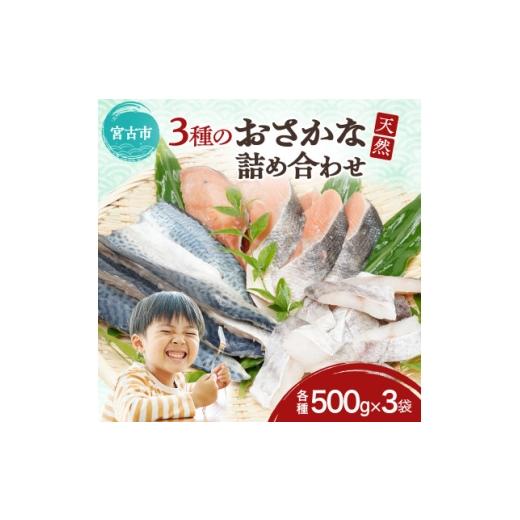 ふるさと納税 魚貝類 岩手県 宮古市 国産 三陸の恵み 骨取り天然魚 3種のごちそうセット 秋鮭 塩...