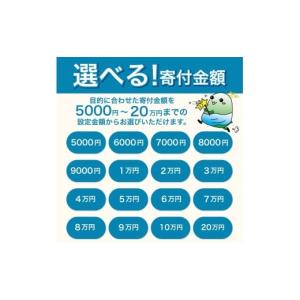 ふるさと納税 ポイント 和歌山県 紀美野町 あ...の詳細画像3