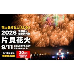 ふるさと納税 花火大会チケット 新潟県 小千谷市...の商品画像