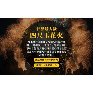 ふるさと納税 花火大会チケット 新潟県 小千谷...の詳細画像2