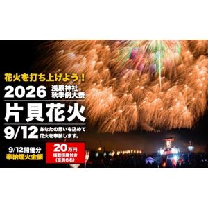 ふるさと納税 花火大会チケット 新潟県 小千谷市 令和8年9月12日(土) 世界一の四尺玉を体感 片貝まつり花火大会 奉納煙火20万円分+桟敷枡席チケット 新潟県小…