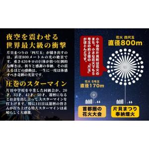 ふるさと納税 花火大会チケット 新潟県 小千谷...の詳細画像5