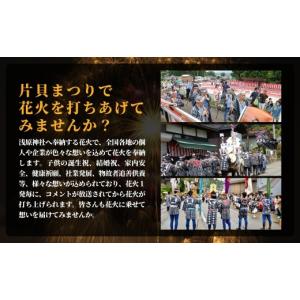 ふるさと納税 花火大会チケット 新潟県 小千谷...の詳細画像3
