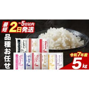 ふるさと納税 米 コシヒカリ 茨城県 つくばみら...の商品画像