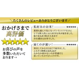 ふるさと納税 米 コシヒカリ 茨城県 つくばみ...の詳細画像3