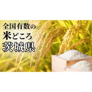 ふるさと納税 米 コシヒカリ 茨城県 つくばみ...の詳細画像4