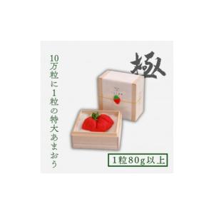 ふるさと納税 いちご 福岡県 朝倉市 いちご ...の詳細画像1