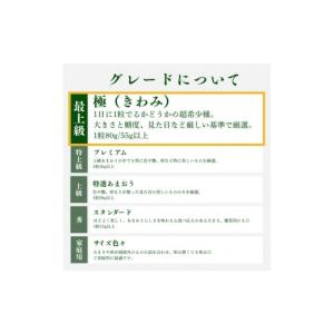 ふるさと納税 いちご 福岡県 朝倉市 いちご ...の詳細画像4