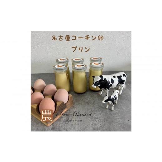 ふるさと納税 菓子 プリン 愛知県 名古屋市 名古屋コーチン卵　プリン（６個入り）