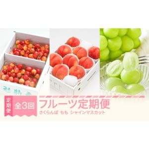 ふるさと納税 果物の詰合せ 山形県 村山市 先...の詳細画像1