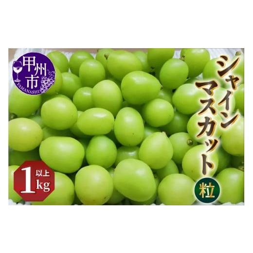 ふるさと納税 ぶどう マスカット 山梨県 甲州市 シャインマスカット（粒）1kg以上 2026年発送...