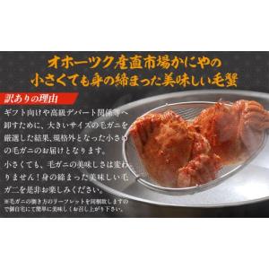 ふるさと納税 カニ 毛ガニ 北海道 網走市 訳...の詳細画像2