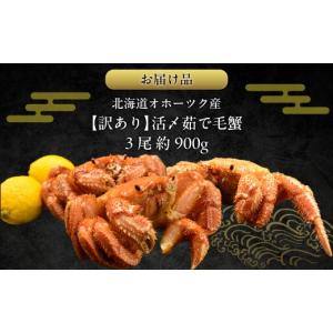 ふるさと納税 カニ 毛ガニ 北海道 網走市 訳...の詳細画像3
