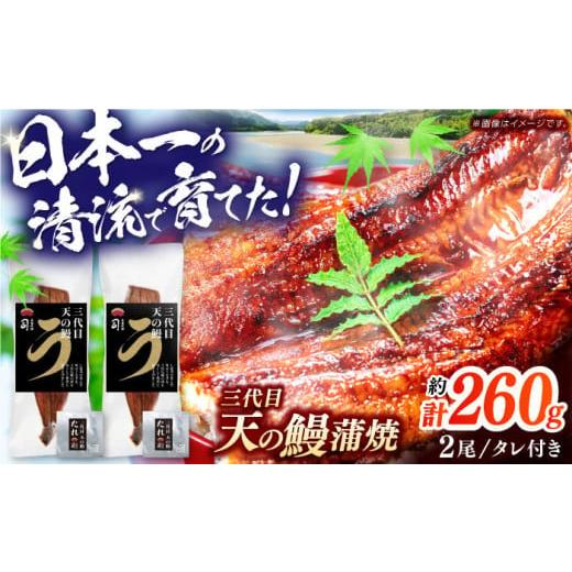 ふるさと納税 うなぎ 高知県 高知市  12／28にお届け 土佐料理司 三代目天の鰻蒲焼2尾セット ...