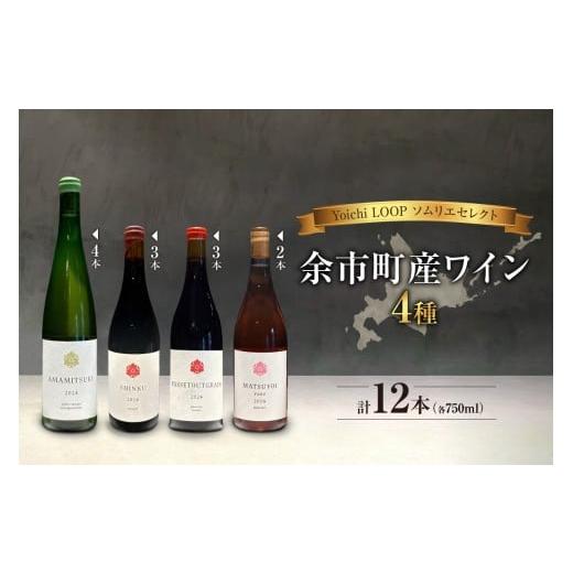ふるさと納税 ワイン セット 北海道 余市町 Yoichi LOOP ソムリエセレクト 余市町産ワイ...