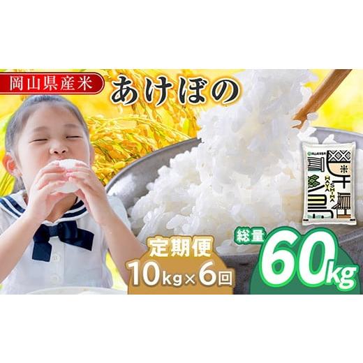 ふるさと納税 米 岡山県 早島町 令和7年産 岡山県産米「あけぼの」 10kg(5kg×2袋) 6回...