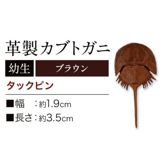 ふるさと納税 小物 岡山県 笠岡市 レザー 革製 カブトガニ 幼生 タックピン 革 ブラウン JS ...