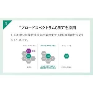 ふるさと納税 美容 神奈川県 鎌倉市 12ヶ月...の詳細画像5