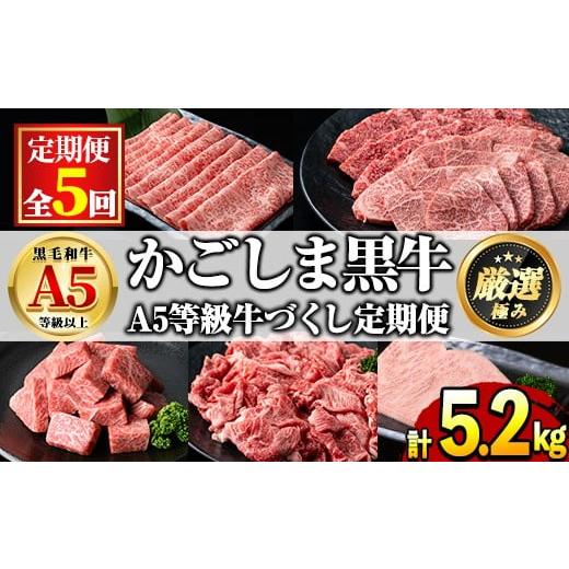 ふるさと納税 牛肉 セット 鹿児島県 東串良町  2401710b 定期便・連続全5回 鹿児島県産 ...