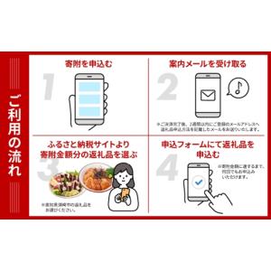 ふるさと納税 いちご 高知県 須崎市 あとから...の詳細画像3