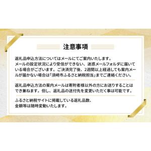 ふるさと納税 いちご 高知県 須崎市 あとから...の詳細画像5
