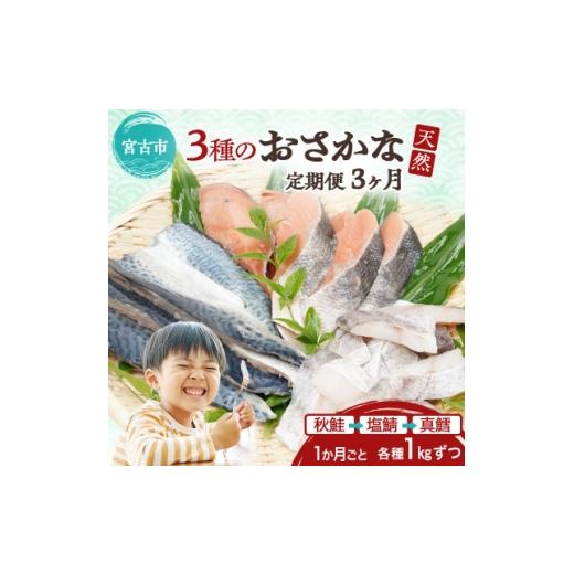 ふるさと納税 魚貝類 岩手県 宮古市  3ヵ月毎定期便 三陸で獲れた人気の天然魚3種セットの定期便全...