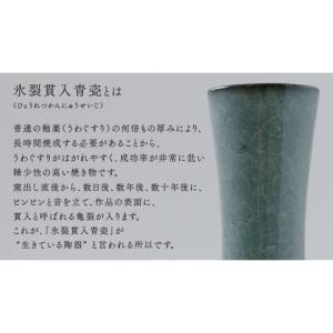 ふるさと納税 雑貨・日用品 茨城県 つくばみら...の詳細画像3