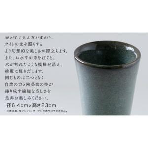 ふるさと納税 雑貨・日用品 茨城県 つくばみら...の詳細画像5