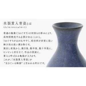 ふるさと納税 雑貨・日用品 茨城県 つくばみら...の詳細画像3