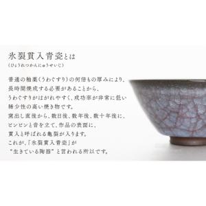 ふるさと納税 食器・グラス 茶碗 茨城県 つく...の詳細画像3