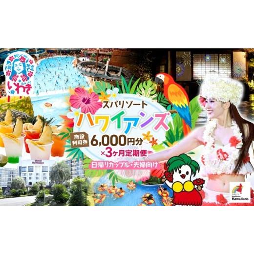 ふるさと納税 温泉・サウナ・スパ利用券 福島県 いわき市 スパリゾート ハワイアンズ カップル定期便...