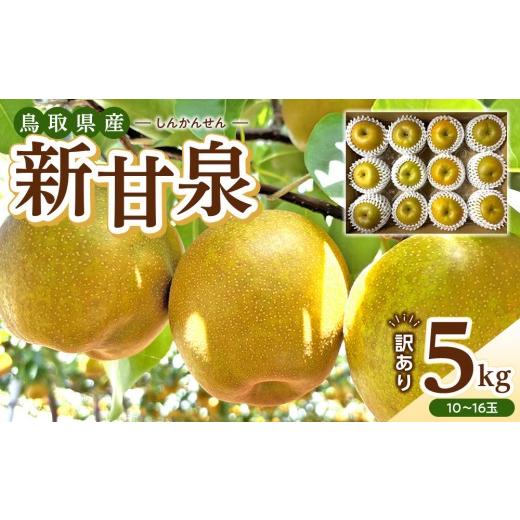 ふるさと納税 梨 鳥取県 北栄町  2026年度発送 先行予約 訳あり 新甘泉 5kg 梨 なし し...