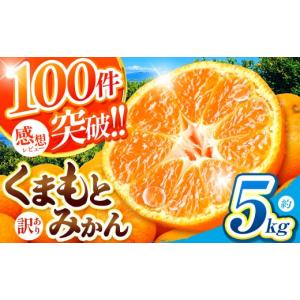 ノニリーフティー〈微粉末/スティックタイプ〉 1箱(1g×28包入り