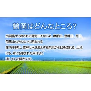 ふるさと納税 米 つや姫 山形県 鶴岡市 令和...の詳細画像4