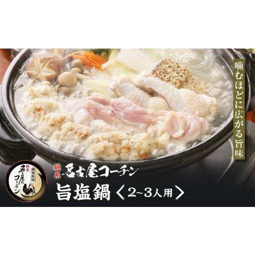 ふるさと納税 鶏肉 セット 愛知県 名古屋市 純系名古屋コーチン　旨塩鍋2〜3人用