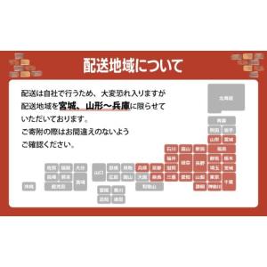 ふるさと納税 アウトドアグッズ 群馬県 前橋市...の詳細画像5