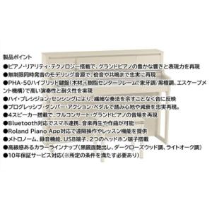 ふるさと納税 電化製品 静岡県 浜松市 Rol...の詳細画像5