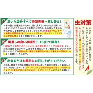 ふるさと納税 無洗米 熊本県 山江村 米 無洗...の詳細画像5