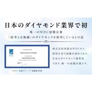 ふるさと納税 アクセサリー ペンダント 大阪府...の詳細画像5