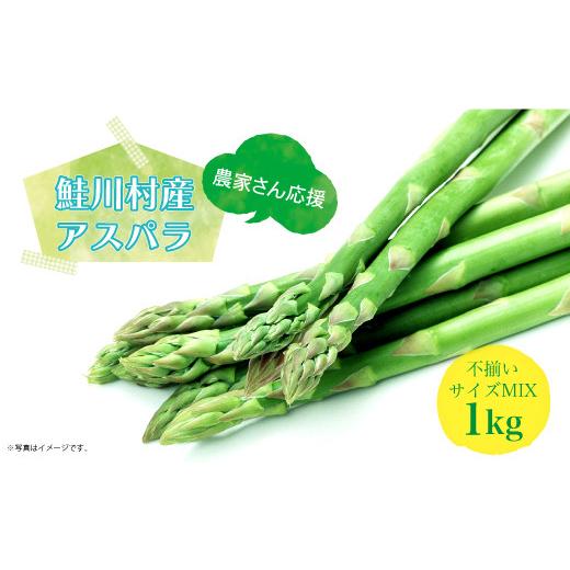 ふるさと納税 野菜類 アスパラガス 山形県 鮭川村 農家さん応援 鮭川村産 アスパラガス 不揃いサイ...